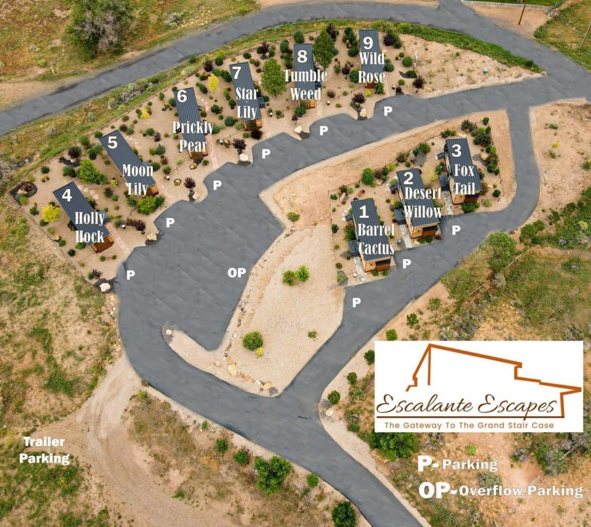 Escalante Escapes Desert Willow- Loft Escape Exterior foto